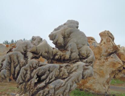 景觀(guān)園林石價(jià)格